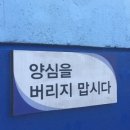김포 피자 맛집 - 브루노 화덕피자 후기 ( + 경찰에 10분간 쫓긴 썰 푼다 ;;)