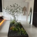 르베르제 이미지