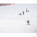 11545-03-34-23 | 홍천 비발디파크 렌탈샵 스키장 추천