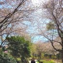 수남아파트 | 경남 고성 부동산 대장 아파트 고성코아루더파크 간단 임장 후기