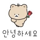 바이에이든 이미지