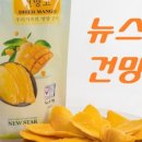 뉴스타코리아 이미지