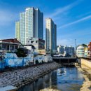 서암대로 이미지