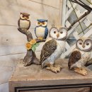 부엉이샵 이미지