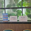 카페월정리 아산본점 | 모종동카페 빙수먹으러 간 아산카페 써니문본점