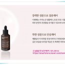 플랜피 이미지