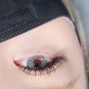 D엘 래쉬 네이버블로그