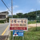 은행나무집앞 이미지