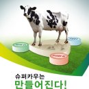 선진하우징 이미지