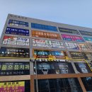 KTIGERS태권도장 이미지