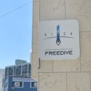 판암역 4번출구 | 취미 추천 프리다이빙! 인투더씨 프리다이브에서 AIDA1 자격증 취득 후기