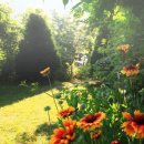 황도민박 이미지