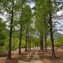 알프스산장 이미지