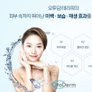 오투뷰티 네이버블로그