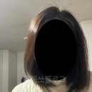 제니하우스 시카염색 애쉬빈티지카키로 셀프 염색 후기 밝은색 새치 염색으로도 추천