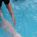 가평아름마루독채애견펜션 이미지