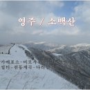 영주 / 소백산 이미지