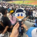 124-1 | [롯데자이언츠예매] 사직야구장 1루 내야필드석 124블럭 5열 좌석 시야 후기 (+누리 짝짝이 파는 곳...