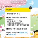 평택항국제여객터미널 | 부산항국제여객터미널 당일 환전 후기 (대마도환전/대마도여행/부산항일요일환전)
