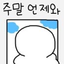 혼자두면 장판뜯어서 차린 개카페 이미지