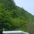 계방산펜션 이미지