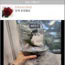 삼향농원 이미지