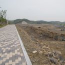 좌야초등학교 이미지