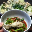 동대문 닭한마리 티스토리