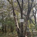 명정고개길 이미지