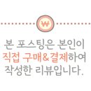 339빌리지태안안면도독채펜션 이미지