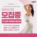 사파동314 | 사파동피티 유핏필라테스 8주의 기적 10기모집!