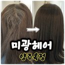 미광헤어 | 251227 [양주] 미광헤어 최근 오픈한 옥정동미용실 새치염색 추천