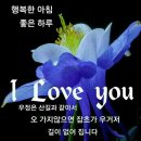 행복한 아침 이미지