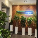 냠냐밍 | 야채 무한리필 월남쌈 샤브샤브 전문점 어린이대공원맛집 소담촌 아차산역점