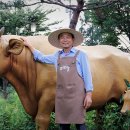 전북한우육종협동조합 이미지