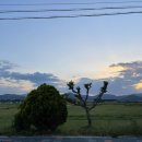 내안애치킨 이미지