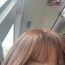두실역 | 구서동 미용실 제이지니헤어 두실역 1인 미용실 염색 후기