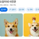경기사진관 | [경기 의정부] 소담이네 사진관 의정부사진맛집 솔직후기 리얼후기 찐후기