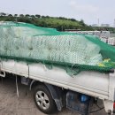 성우종합관리 | 충남 서산 성우알맥 여과집진기 PE 백필터 및 케이지 396세트 전면 교체 후기