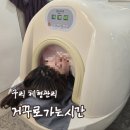 이디야커피 원주한라비발디점 | [리뷰] 구리 체형관리 거꾸로가는시간 후기