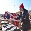 제15회 청송사과축제 이미지