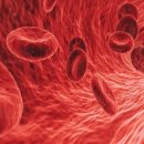 드림성인PC | 드림널스 시뮬레이션으로 '수혈요법' 마스터