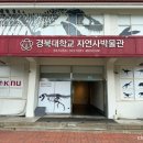 경북대학교 자연사박물관 | 경북 군위 가볼만한 곳 경북대학교 자연사박물관