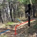 황령산 벚꽃약수터 이미지