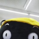 쿠마 - 중구 남포길 27 | 쿠마