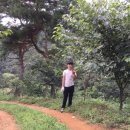 옹달샘 농장 이미지