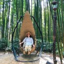 자연을 품은 미술관 이야기 &lt;담양 자연 미술관 여행&gt;