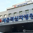 적십자병원 이미지