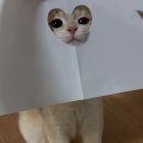 행운상사 이미지