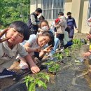 개진초등학교 이미지